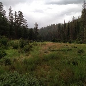 Meet your Posher, Ken